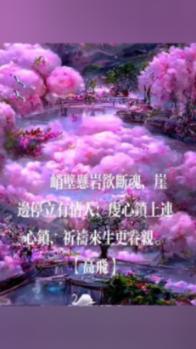 湖南进入大雪模式,“南方土豆雪天新驾考”开启